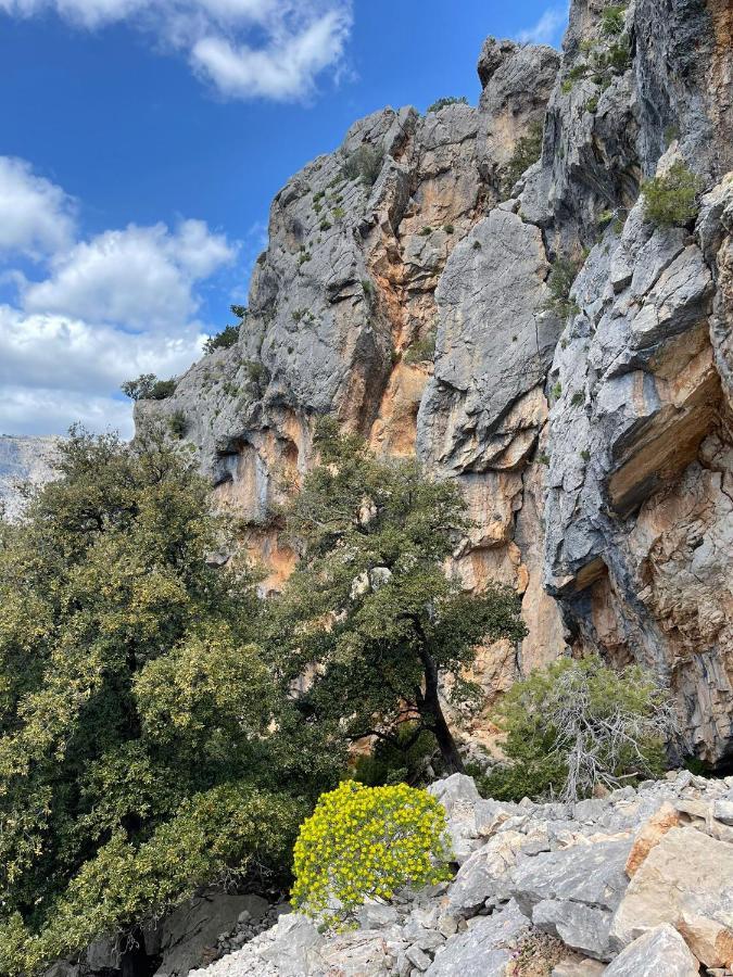 Casa Vacanze Sa Piazza Apartman Dorgali Kültér fotó